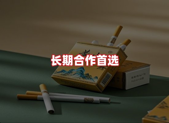 专业团队